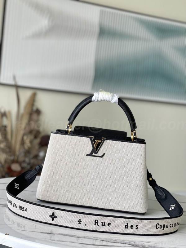 LV Handbags 691